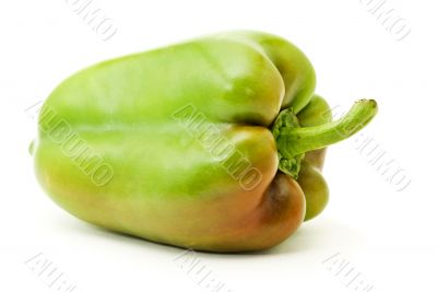 green bell-pepper with red side