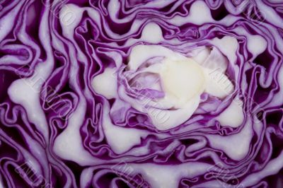 red cabbage