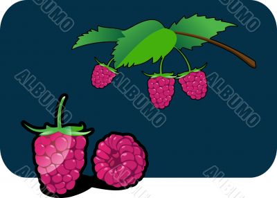 raspberry