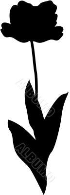 Tulip Flower silhouette