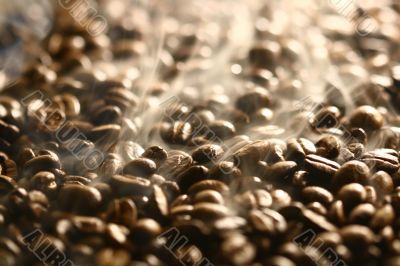 Grains of coffee
