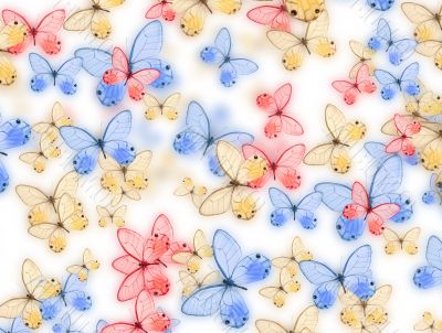 butterfly