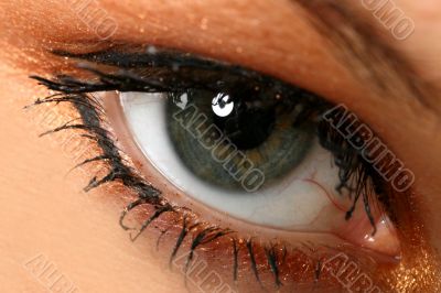 beauty eye