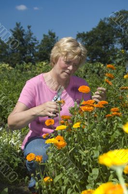 elderly woman is getting flowers