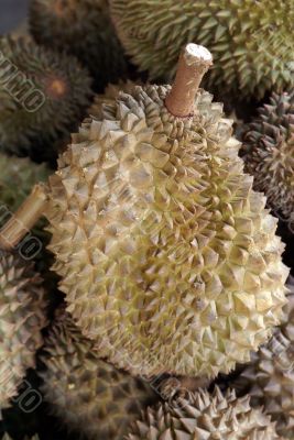 Durian