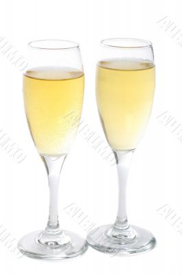 champagne