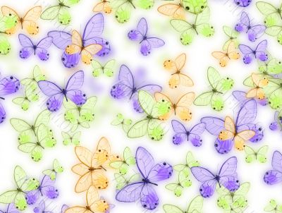 butterfly