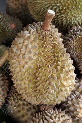 Durian