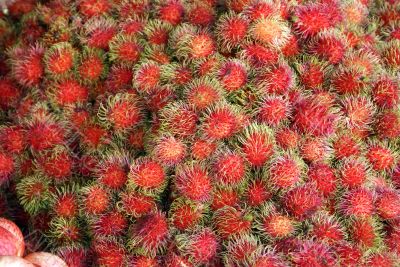 Rambutan