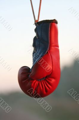 a boxing-glove