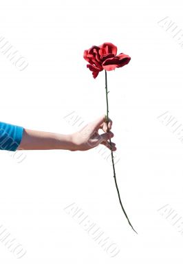 Rose Being Offerred
