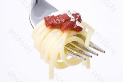 spaghetti on a fork