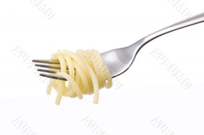 spaghetti on a fork