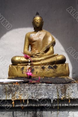 Buddha