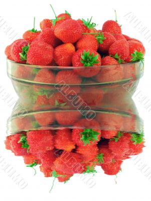 fresh strawberrys