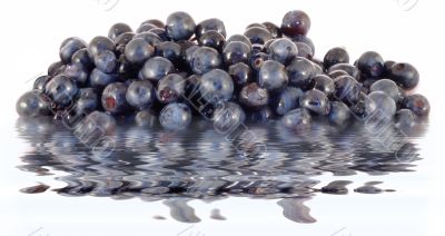 fresh berries reflections