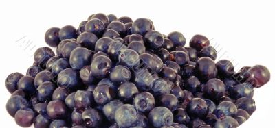 fresh berrys
