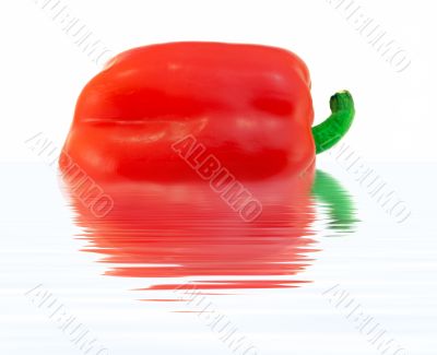 sweet red pepper reflections