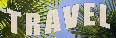 Travel to palm trees
