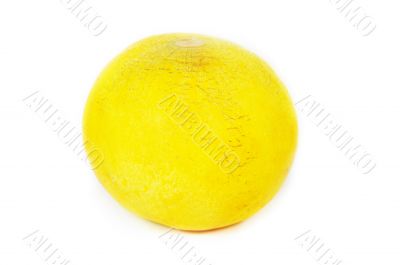 Melon
