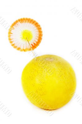 Melon