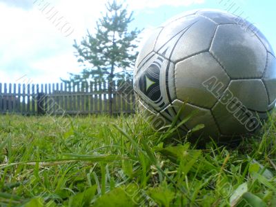Ball on a grass