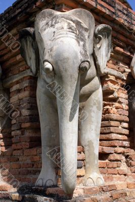 Elephant on the corner