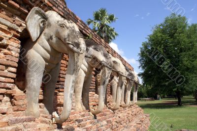 Elephants