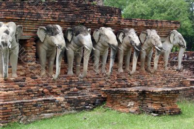 Elephants