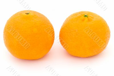 Two big tangerines