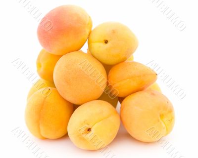 Some ripe apricots