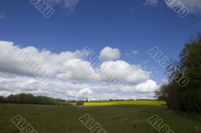 Farm land