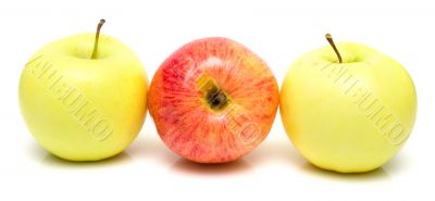 Red and yellow apples 2