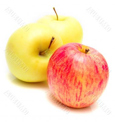 Red and yellow apples 4