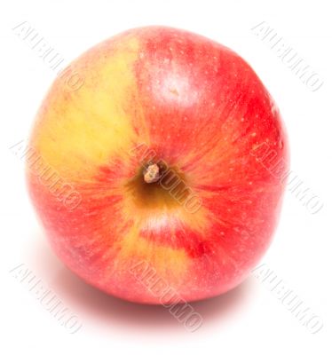 red apple