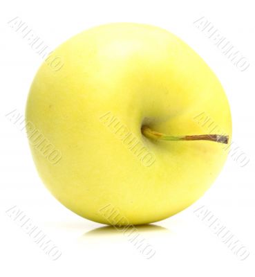 yellow apple