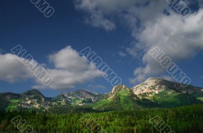 Mountain Summer