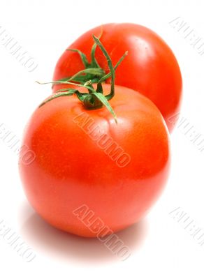 juicy fresh tomatoes