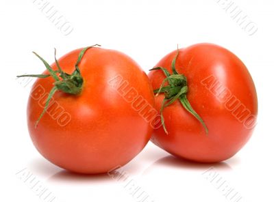 juicy fresh tomatoes 4