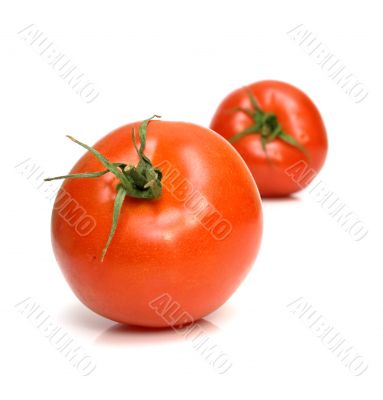 juicy fresh tomatoes 6