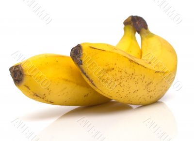 ripe bananas 2