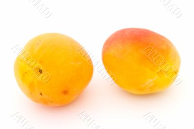 Two big apricots