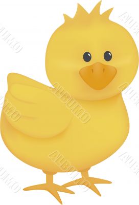 Yellow Baby Chick