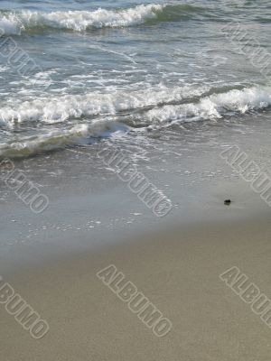 waves on the beach