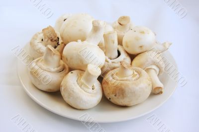 Fresh whole button mushrooms