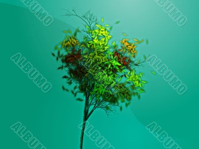 Autumn tree
