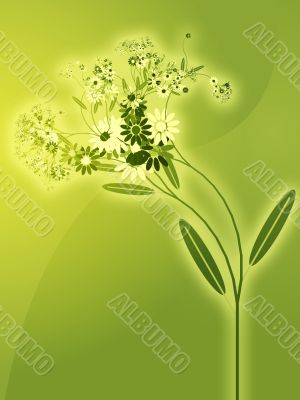 Flowers illustration