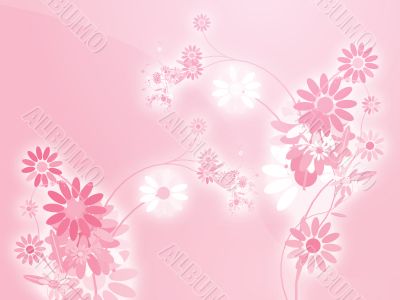 Flowers illustration