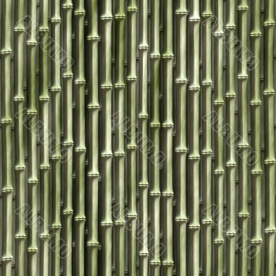 Bamboo plants