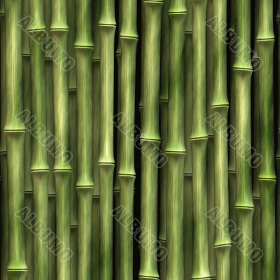 Bamboo plants